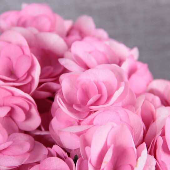 Шляпная коробка Grand "Гортензии Pink" BLVCK Фото 3