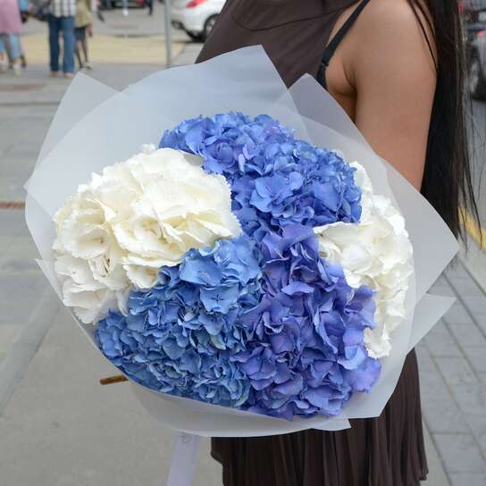 Букет из гортензий "Голубой микс" (5 шт.)