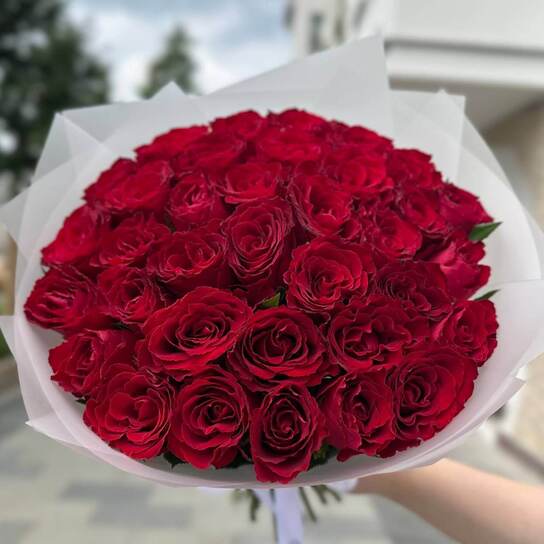 Букет из 35 роз "Red Kenya"