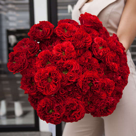 Букет из 35 роз "Red Monster