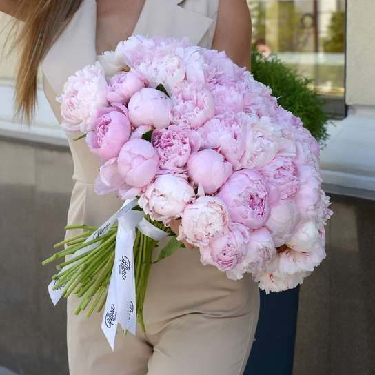 Букет из 51 пиона "Sarah Bernhardt"