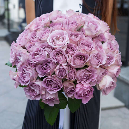 Букет из 51 розы "Purple Kenya"