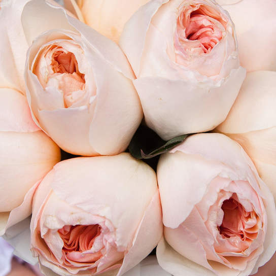 Шляпная коробка Demi "Розы Austin Juliet" BLUE