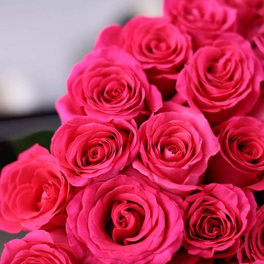 Букет из 51 розы "Pink Floyd"