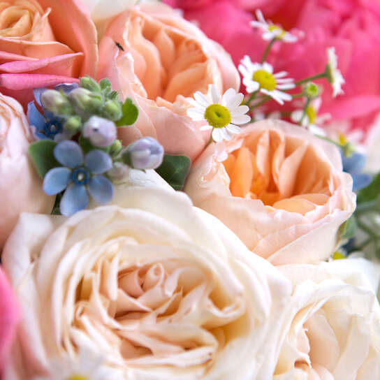 Букет "Coral Sunset" Small Фото 4