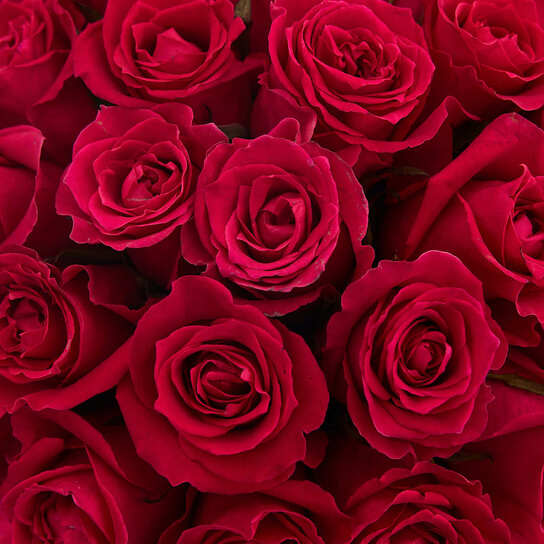 Шляпная коробка Grand "Розы малиновые Gotcha" WHITE