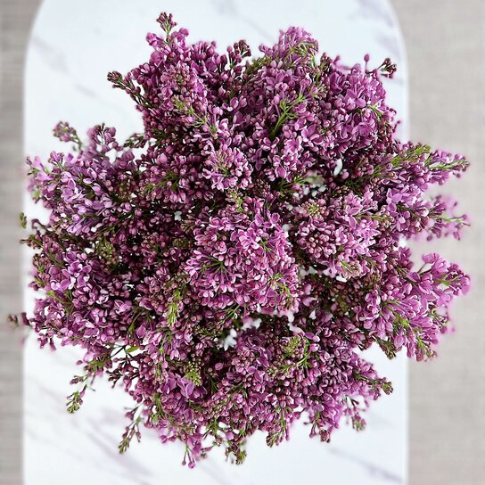 Букет Сирени в вазе Фото 2