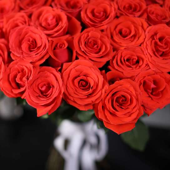 Букет из 101 розы "Nina"