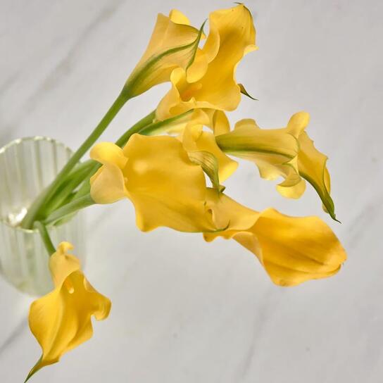 Букет из желтых калл в вазе Фото 3