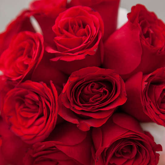 Шляпная коробка Demi "Розы Кения Red" BLVCK