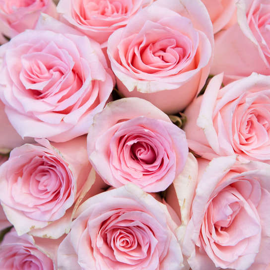 Шляпная коробка Grand с розовыми розами PINK