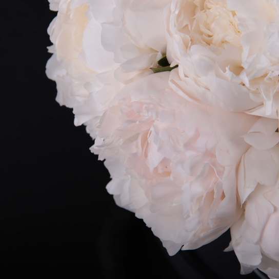 Шляпная коробка Demi "Пионы Madame Claude Tain" WHITE