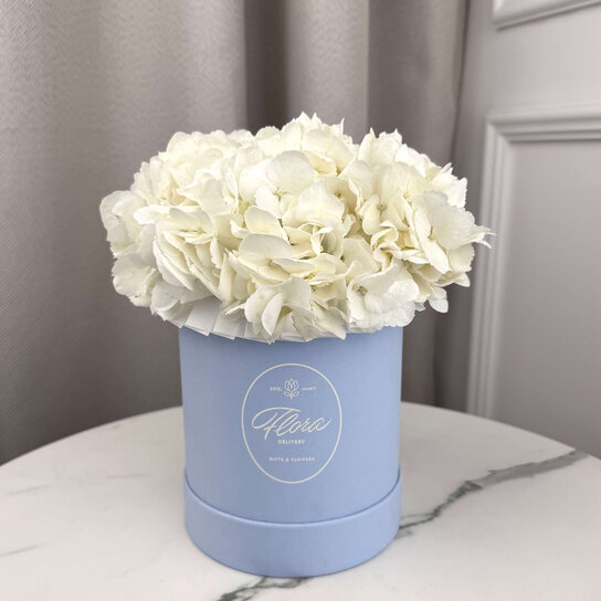 Белая гортензия в шляпной коробке Demi BLUE