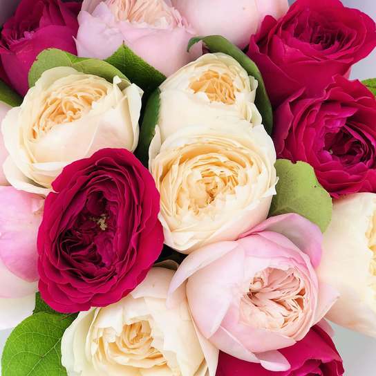 Микс из садовых роз №1