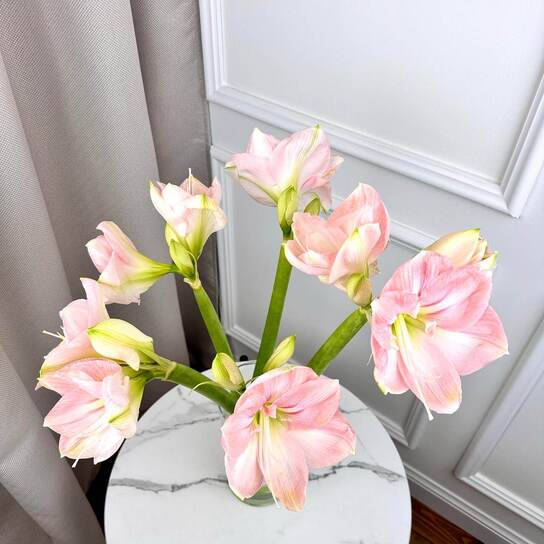 Букет из персиково-розовых амариллисов  в вазе