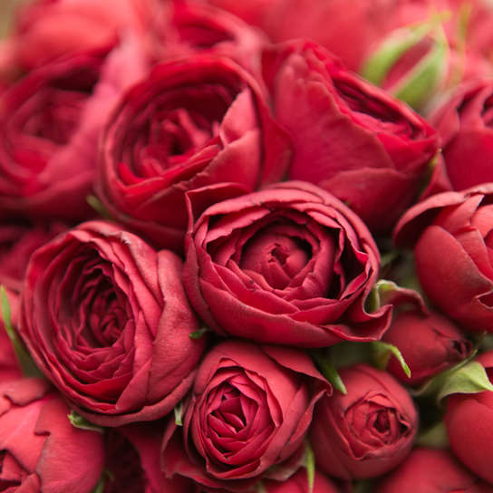 Шляпная коробка Demi "Розы Red Lace" PINK