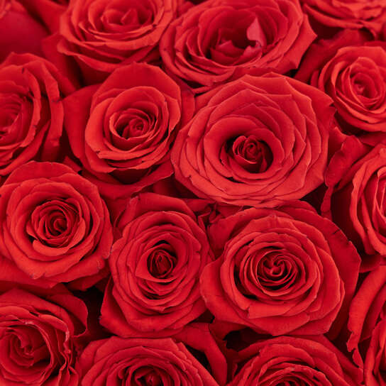 Шляпная коробка Grand "Розы Nina" WHITE