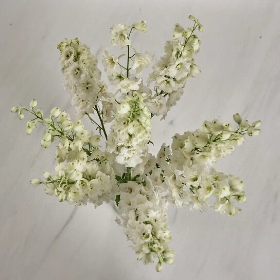 Букет из белого дельфиниума в вазе Фото 2