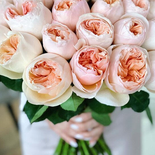 Букет из 51 пионовидной розы "Austin Juliet" Фото 3