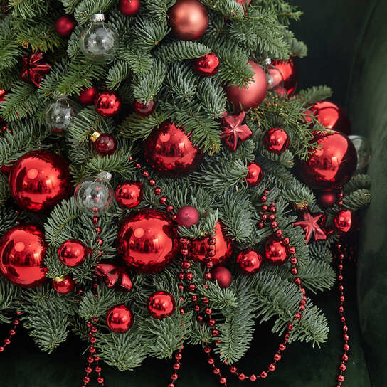 Новогодняя ель из нобилиса "Новый красный"