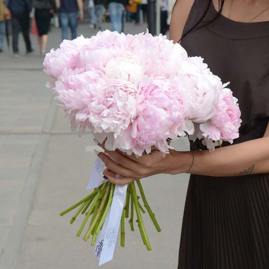 Букет из 21 пионов "Sarah Bernhardt"