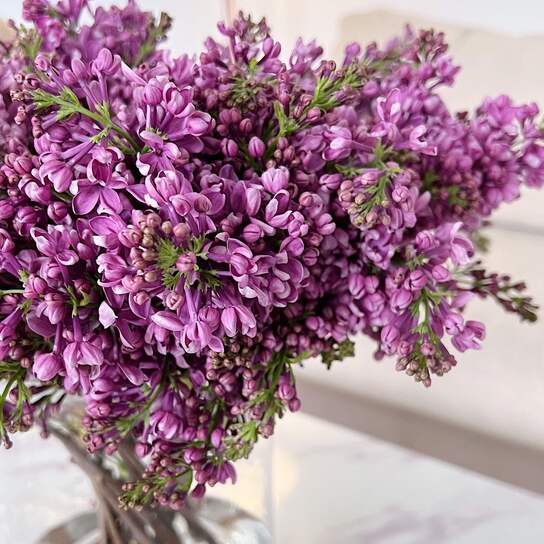 Букет Сирени в вазе