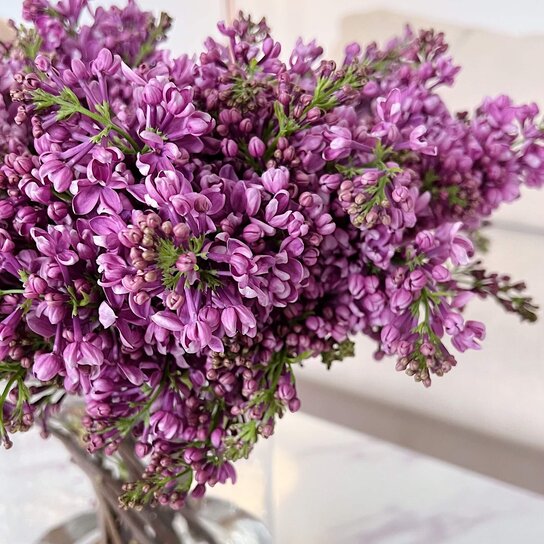 Букет Сирени в вазе Фото 3