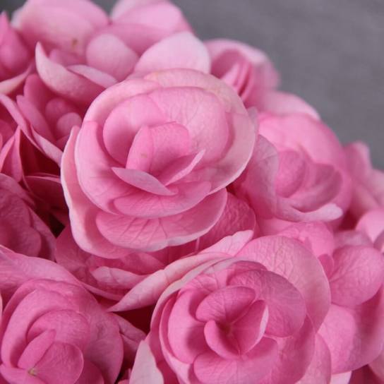 Шляпная коробка Demi "Гортензии Pink" WHITE Фото 4