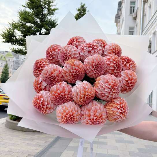 Букет из 21 георгины "Peaches and Cream" Фото 2
