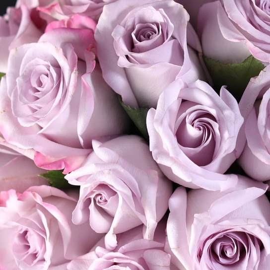 Букет из 25 роз "Purple" в вазе