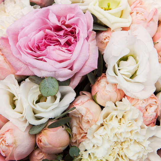 Букет "Ashwell" PINK