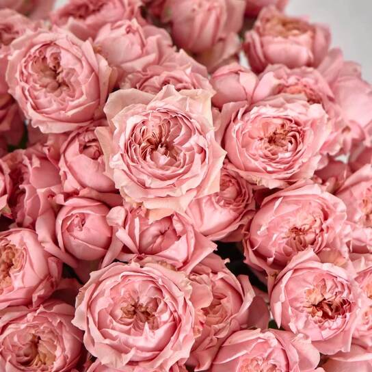 Букет из 13 кустовых роз Juliet в вазе